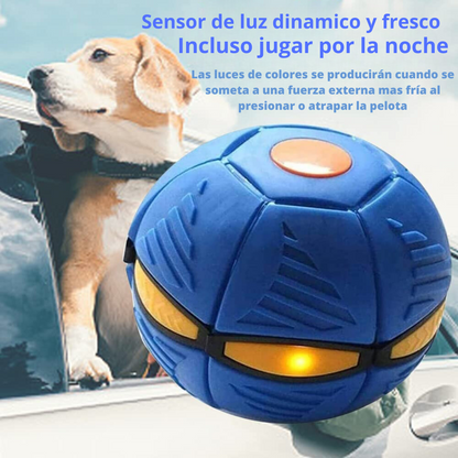 Frisball 💯¡EL JUGUETE QUE SE MERECE TU MASCOTA!💯